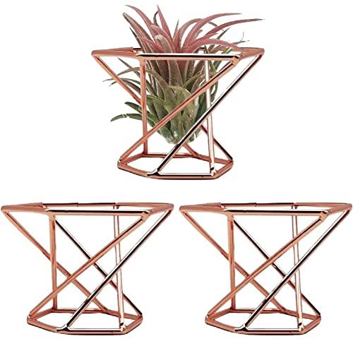 3pcs Metallanlagen Ständer Kompakt Tillandsia Display Ständer Eleganter Farnpflanzenstand Geometrischer Luftpflanzenhalter Für Wohnkultur von Danlai