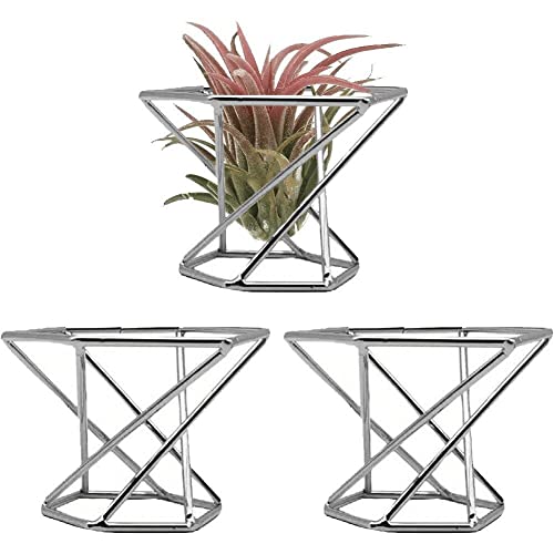 3pcs Metallanlagen Ständer Kompakt Tillandsia Display Ständer Eleganter Farnpflanzenstand Geometrischer Luftpflanzenhalter Für Wohnkultur von Danlai