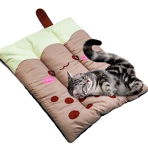 Danlai Hundematte Matte Hunde Katzendecke Sofa Haustierbett Kleine Mittelgroße Hunde Mattensitz Kissen von Danlai
