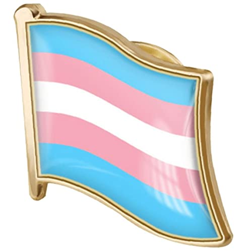 Danlai LGBT Rainbow Badge Brosche Pin Homosexuell Bisexuelle Pride Flagge Brosche Abzeichen Revers Pins von Danlai