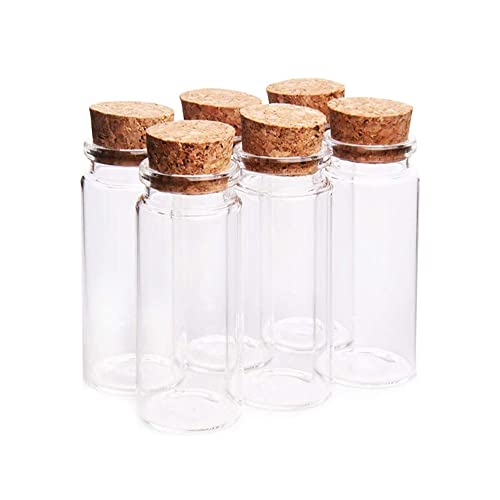 Danmu Kleine Glasflaschen, 150 ml, Mini-Flaschen, Gläser mit Holzkorkenverschluss, Wunschflaschen, Nachrichtenflaschen für Hochzeitsgeschenke, Babypartys, Bastelarbeiten, 6 Stück von Danmu