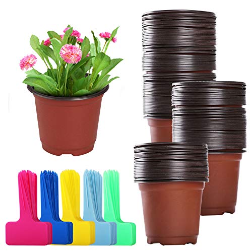 Danolt 50 Anzuchtschalen Setzling Starter Tabletts Samen Propagator Tablett mit Einstellbaren Feuchtigkeit Dome Seedling Tablett für Samenkeimung, mit 50 Pflanzenetiketten von Danolt
