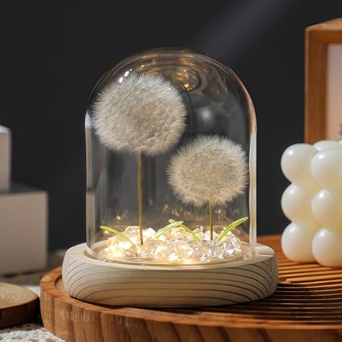 Danolt WunscherfüLler Pusteblume, Pusteblume Im Glas für Mutter, Ehefrau, Freundin's Geschenke Danolt WunscherfüLler Pusteblume, Pusteblume Im Glas für Mutter, Ehefrau, Freundin's Geschenke von Danolt