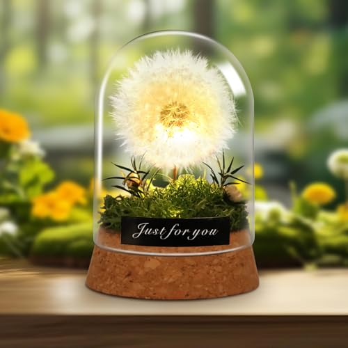 Danolt Wunscherfüller Pusteblume im Glas mit LED Licht Ewige Blume als Besondere Geschenkidee (Grün) von Danolt