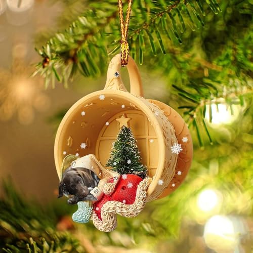 Dantazz Weihnachtsschmuck Weihnachten Katze Eichhörnchen Ornament Acryl Tier-Figur Hängende Dekoration Weihnachtsbaum Ornament Christbaumschmuck Weihnachtsanhänger Weihnachten Deko (J2, OneSize) von Dantazz