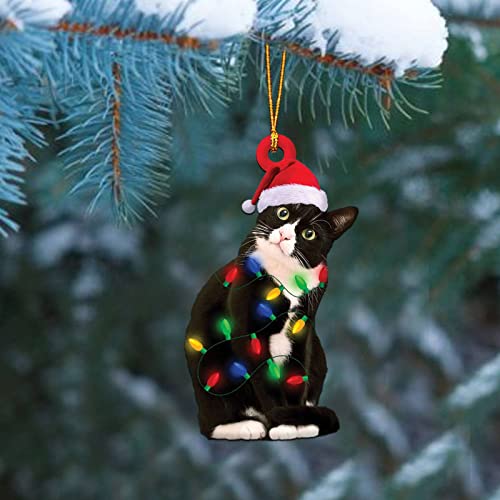 Dantazz Weihnachtsschmuck Weihnachten Katze Eichhörnchen Ornament Acryl Tier-Figur Hängende Dekoration Weihnachtsbaum Ornament Christbaumschmuck Weihnachtsanhänger Weihnachten Deko (S, OneSize) von Dantazz