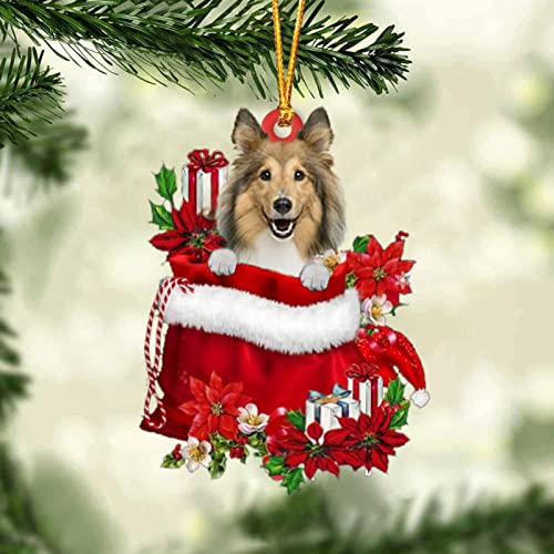 Dantazz Weihnachtsschmuck Weihnachten Katze Eichhörnchen Ornament Acryl Tier-Figur Hängende Dekoration Weihnachtsbaum Ornament Christbaumschmuck Weihnachtsanhänger Weihnachten Deko (Y-1, OneSize) von Dantazz
