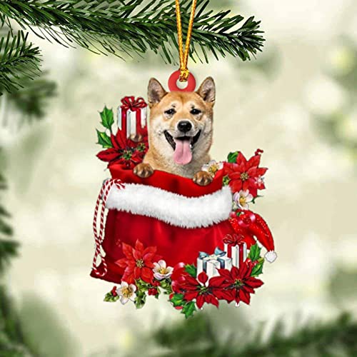 Dantazz Weihnachtsschmuck Weihnachten Katze Eichhörnchen Ornament Acryl Tier-Figur Hängende Dekoration Weihnachtsbaum Ornament Christbaumschmuck Weihnachtsanhänger Weihnachten Deko (Y-2, OneSize) von Dantazz
