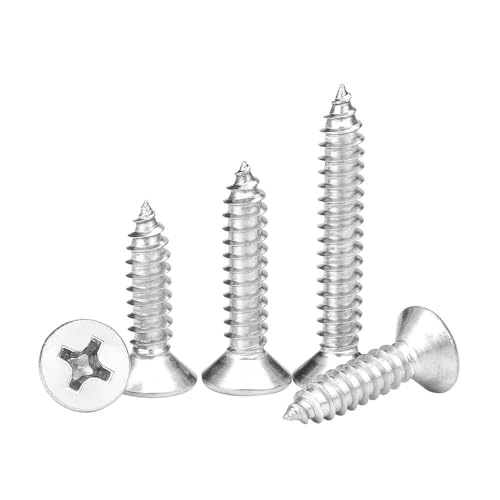 Danveey Zixinz-Zylinderschrauben Kreuzschlitz-Blechschrauben mit flachem Kopf M1.2 M1.4 M1.7 M2 M2.3 M2.6 M3 M3.5 M4 M5 M6 Edelstahlschrauben Möbelschraube, Korrosionsbeständigkeit(30 Mm,M4.2 55pcs) Danveey Zixinz-Zylinderschrauben Kreuzschlitz-Blechschrauben mit flachem Kopf M1.2 M1.4 M1.7 M2 M2.3 M2.6 M3 M3.5 M4 M5 M6 Edelstahlschrauben Möbelschraube, Korrosionsbeständigkeit(30 Mm,M4.2 55pcs) von Danveey
