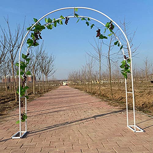 Rosenbogen aus Metall,wetterfest Gartenbogen Gartenlaube,für Kletterpflanzen,Rankgitter Torbogen Rankenbogen,Rankhilfe Torbogen Pergola Spalier,Hochzeitsbogen,Leicht zusammenzubauen,Garten Rasen Par von Daoyuan