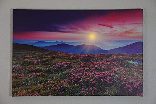 Dapo® LED-Wand-Leinwand-Bild-Leuchte-Lampe 60x40cm Stimmungs-Dekorations-indirekte-Leuchte-Lampe-Beleuchtung Batteriebetrieben, Ein/Aus-Schalter (Sonnenaufgang) von Dapo