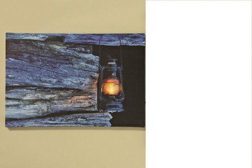 Dapo LED-Wand-Bild beleuchtete Laterne 45x30cm Stimmungs-Wand-Wohn-Ess-Zimmer-Dekorations-Leinwand-Bild-Leuche batteriebetrieben (Laterne) von Dapo