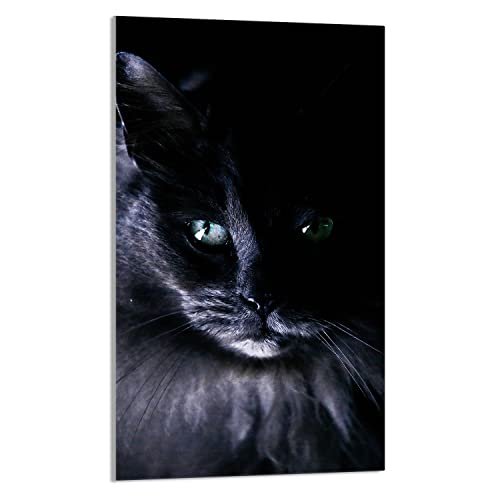 DarHaus Herdabdeckplatte 1 Teilig 30x52 cm Ceranfeldabdeckung Küche Elektroherd Induktion Herdschutz Spritzschutz Glasplatte Schneidebrett, Katze Schwarz von DarHaus