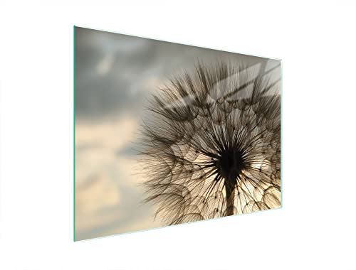 DarHaus Herdabdeckplatte 40x30 cm Einteilig Glas Elektroherd Induktion Herdschutz Spritzschutz Glasplatte Deko Schneidebrett, Löwenzahn Beige von DarHaus