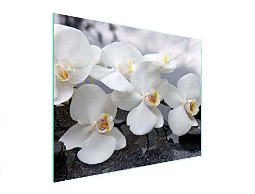 DarHaus Herdabdeckplatte 52x40 cm 1-teilig Ceranfeldabdeckung Induktion Herdschutz Spritzschutz Glasplatte Deko Schneidebrett, Orchidee Weiß DarHaus Herdabdeckplatte 52x40 cm 1-teilig Ceranfeldabdeckung Induktion Herdschutz Spritzschutz Glasplatte Deko Schneidebrett, Orchidee Weiß von DarHaus