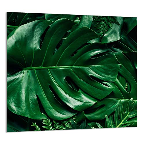 DarHaus Herdabdeckplatte 65x60 cm 1-teilig Ceranfeldabdeckung Induktion Herdschutz Küchenrückwand Spritzschutz Glasplatte Deko Schneidebrett, Monstera Grün von DarHaus