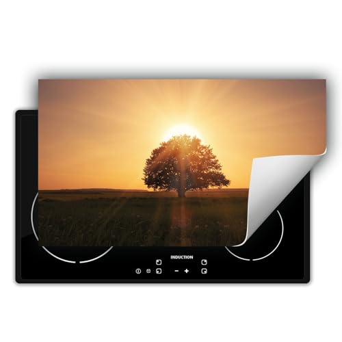 DarHaus Herdabdeckplatte Einteilig Ceranfeld Abdeckplatte Induktionsschutz Küche Deko Vinyl Matte Aufrollbar 90x52 cm, Baum - Sonne von DarHaus