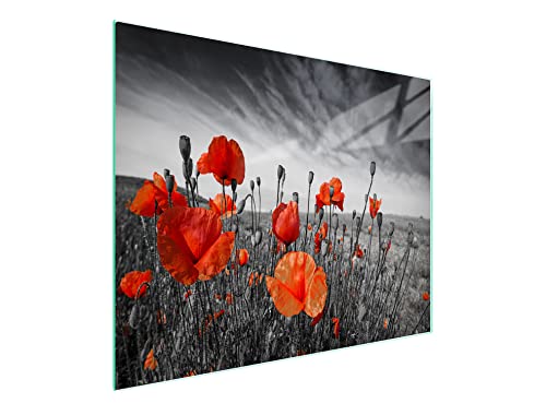 DarHaus Herdabdeckplatte einteilig 52x30 cm Ceranfeld Abdeckung Glas Spritzschutz Abdeckplatte Glasplatte Herd Ceranfeldabdeckung Deko, Mohnblumen Rot von DarHaus