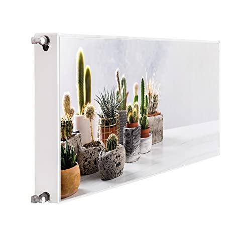 DarHaus Magnet Heizkörperverkleidung Heizkörperabdeckung Heizung Schutz, 140x60 Motiv Kaktus von DarHaus