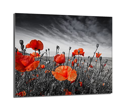 Herdabdeckplatte 60x52 Einteilig Glas Elektroherd Induktion Herdschutz Spritzschutz Glasplatte Deko Schneidebrett, Mohnblumen Rot von DarHaus