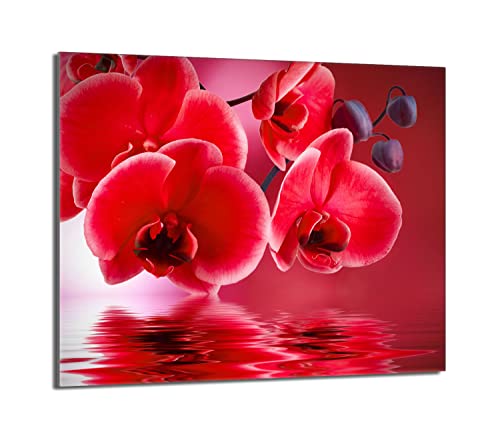 Herdabdeckplatte 60x52 Einteilig Glas Elektroherd Induktion Herdschutz Spritzschutz Glasplatte Deko Schneidebrett, Orchidee Rot von DarHaus