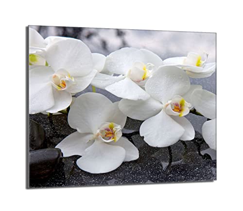 Herdabdeckplatte 60x52 Einteilig Glas Elektroherd Induktion Herdschutz Spritzschutz Glasplatte Deko Schneidebrett, Orchidee Weiß Herdabdeckplatte 60x52 Einteilig Glas Elektroherd Induktion Herdschutz Spritzschutz Glasplatte Deko Schneidebrett, Orchidee Weiß von DarHaus