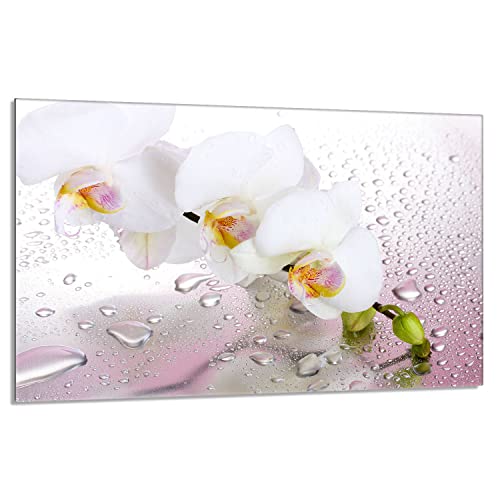 Herdabdeckplatte 80x52 cm 1-teilig Ceranfeldabdeckung Induktion Herdschutz Spritzschutz Glasplatte Deko Schneidebrett, Orchidee Weiß Herdabdeckplatte 80x52 cm 1-teilig Ceranfeldabdeckung Induktion Herdschutz Spritzschutz Glasplatte Deko Schneidebrett, Orchidee Weiß von DarHaus