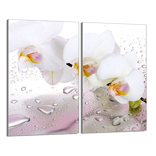 Herdabdeckplatten 2 Teilig 2x30x52 cm Ceranfeldabdeckung Küche Elektroherd Induktion Herdschutz Spritzschutz Glasplatte Schneidebrett, Orchidee Weiß Herdabdeckplatten 2 Teilig 2x30x52 cm Ceranfeldabdeckung Küche Elektroherd Induktion Herdschutz Spritzschutz Glasplatte Schneidebrett, Orchidee Weiß von DarHaus