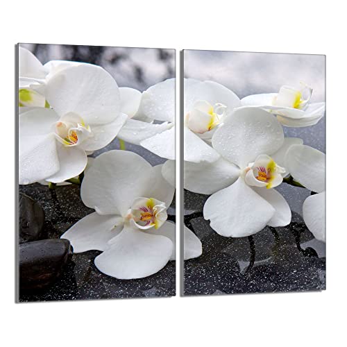 Herdabdeckplatten 2 Teilig 2x30x52 cm Ceranfeldabdeckung Küche Elektroherd Induktion Herdschutz Spritzschutz Glasplatte Schneidebrett, Orchidee Weiß Herdabdeckplatten 2 Teilig 2x30x52 cm Ceranfeldabdeckung Küche Elektroherd Induktion Herdschutz Spritzschutz Glasplatte Schneidebrett, Orchidee Weiß von DarHaus
