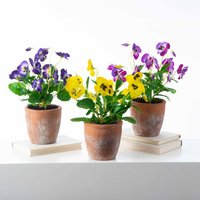 Lebensechte Stiefmütterchen Blumengesteck Zimmerpflanze Im Gealterten Terra Cotta Topf - 3 Farben von DarbyCreekTrading