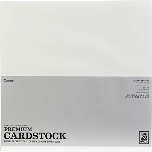 Darice GX-2200-18 Kartonpapier, 30,5 x 30,5 cm, Weiß, 20 Stück von Darice