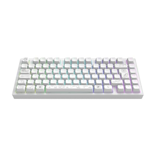 Dark Project ALU81A Terra NOVA Kabellose Mechanische Gaming-Tastatur | ISO Multi | Hot-Swap | G3MS Moonstone Gefettete-Schalter | Gefettete Stabilisatoren | Flex Gasket Mount | Aluminium | RGB Dark Project ALU81A Terra NOVA Kabellose Mechanische Gaming-Tastatur | ISO Multi | Hot-Swap | G3MS Moonstone Gefettete-Schalter | Gefettete Stabilisatoren | Flex Gasket Mount | Aluminium | RGB von Dark Project