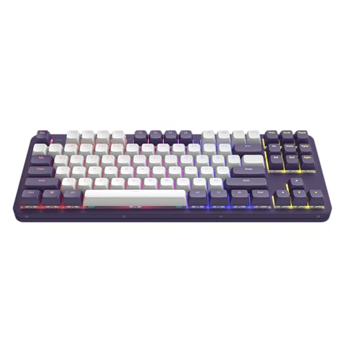 Dark Project ALU87A Violet Mechanische Gaming-Tastatur | ANSI ENG | G3MS Saphirgefettete Schalter | Gefettete Stabilisatoren | Flex Gasket Mount | Aluminium | TKL 80% | RGB | Verdrahtet Dark Project ALU87A Violet Mechanische Gaming-Tastatur | ANSI ENG | G3MS Saphirgefettete Schalter | Gefettete Stabilisatoren | Flex Gasket Mount | Aluminium | TKL 80% | RGB | Verdrahtet von Dark Project
