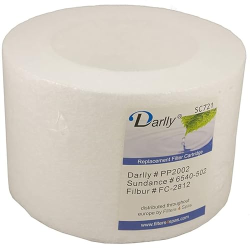 Darlly spa filter SC721 von Darlly