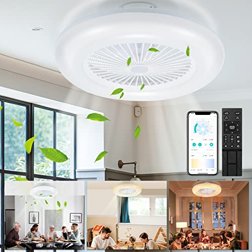 Daromigo Deckenventilator Mit Beleuchtung, 80W LED Stufenloses Dimmen Ventilator Beide Richtungen Drehen, mit Fernbedienung und mobiler APP, 3 Farbtemperatur 6-Gang and Timer Ventilatorlicht von Daromigo