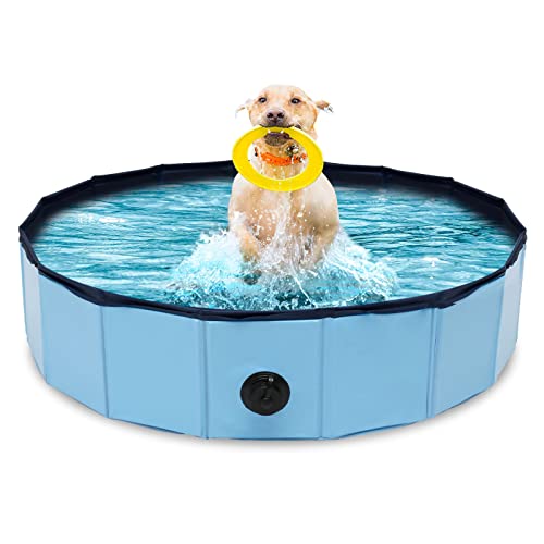 Daromigo Hundepool für Kleine Hunde 80x20cm Faltbar Hundepool Hundebadewanne HundePlanschbecken PVC Schwimmbad Verschleißfest Hunde Pool Blue von Daromigo