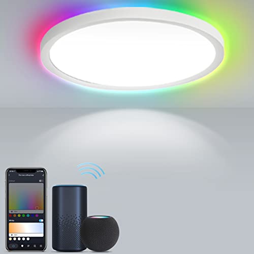 Daromigo LED Deckenleuchte dimmbar 2700K-6500K+RGB Verfärbung Deckenleuchte Kann als Wohnzimmerlicht, Schlafzimmerlicht, Küchenlicht, etc. verwendet werden. IP44 24W Weiß Rund von Daromigo