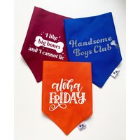 Personalisierte Hundehalstuch von DarraghsDogs