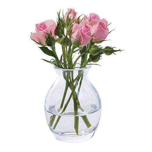 Dartington Crystal Flower Garden Bloom Vase, transparent von Dartington Crystal