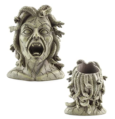 Darware Mini Harz Medusa Kopf Pflanzer, Garten Dekor Statue Blumentopf von Darware