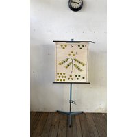 Genetik Vererbung Mendel Pull Down Diagramm Lehrtafel Biologie Wandbild Vintage von DasEmporium