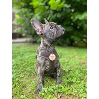 Hundemarke Aus Holz Inkl. Name, Motiv Und Auf Wunsch Telefonnummer | Geschenk Hundebesitzer Gravur Geräuschlos Adressanhänger von DasHandwerksduo