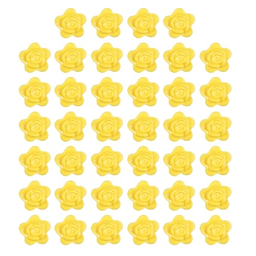 Dasbsug 40 Stück Kletterpflanzen-Befestigungs-Clips zum Aufhängen von Ranken, unsichtbare selbstklebende Kletterpflanze von Dasbsug