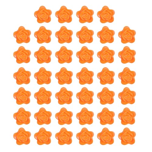 Dasbsug 40 Stück Kletterpflanzen-Befestigungs-Clips zum Aufhängen von Ranken, unsichtbare selbstklebende Kletterpflanze von Dasbsug