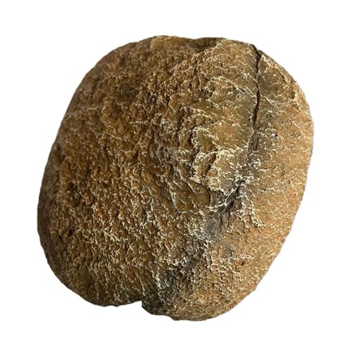 Dasbsug Aquarien Unterschlupf Höhle Versteck Befestigung für Terrarien Fisch Garnelen Zucht Harz Dekor Einfache Befestigung Aquarien Rock von Dasbsug