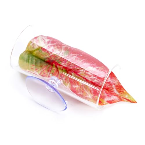 Dasbsug Bettas Zuchttunnel Fisch Reproduktion Bett Tanks Zubehör für und Garnelen Zuhause Professionelle Fischdekoration Dasbsug Bettas Zuchttunnel Fisch Reproduktion Bett Tanks Zubehör für und Garnelen Zuhause Professionelle Fischdekoration von Dasbsug