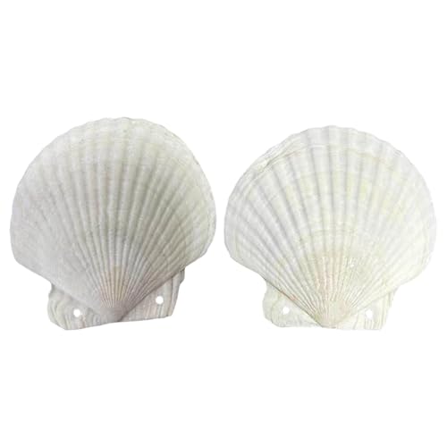 Dasbsug Nachfüllbares Notizbuch, natürliche Muschelform, Ordner, Planer, Tagebuch, Notizblöcke für kreative Geister und Naturstile, Schreiben, nachfüllbares Muschel-Tagebuch Dasbsug Nachfüllbares Notizbuch, natürliche Muschelform, Ordner, Planer, Tagebuch, Notizblöcke für kreative Geister und Naturstile, Schreiben, nachfüllbares Muschel-Tagebuch von Dasbsug