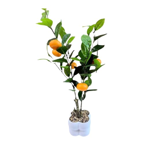 Dekoratives Obstbaummodell Simulierte Bonsais Realistische Topfpflanze Wohnzimmer Ornament Büro Schreibtisch Dekoration Kleine Bonsais Pflanze Dekoratives Obstbaummodell Simulierte Bonsais Realistische Topfpflanze Wohnzimmer Ornament Büro Schreibtisch Dekoration Kleine Bonsais Pflanze von Dasbsug