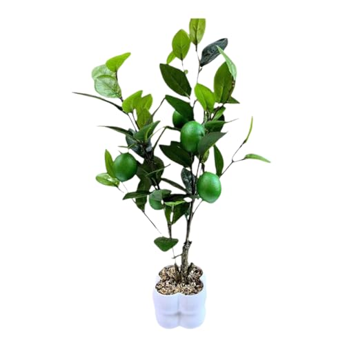 Dekoratives Obstbaummodell Simulierte Bonsais Realistische Topfpflanze Wohnzimmer Ornament Büro Schreibtisch Dekoration Kleine Bonsais Pflanze von Dasbsug