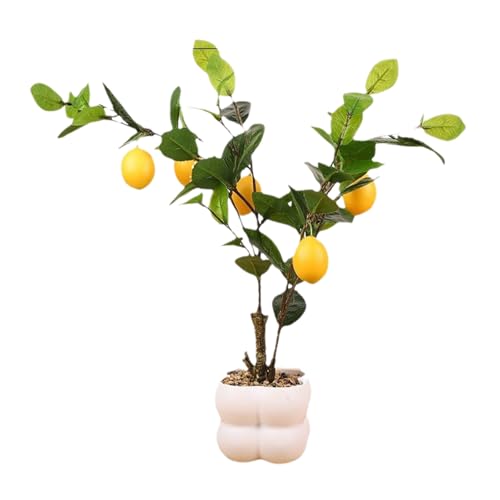 Dekoratives Obstbaummodell Simulierte Bonsais Realistische Topfpflanze Wohnzimmer Ornament Büro Schreibtisch Dekoration Kleine Bonsais Pflanze Dekoratives Obstbaummodell Simulierte Bonsais Realistische Topfpflanze Wohnzimmer Ornament Büro Schreibtisch Dekoration Kleine Bonsais Pflanze von Dasbsug